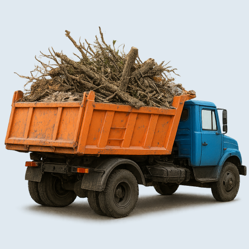 Вивіз сміття